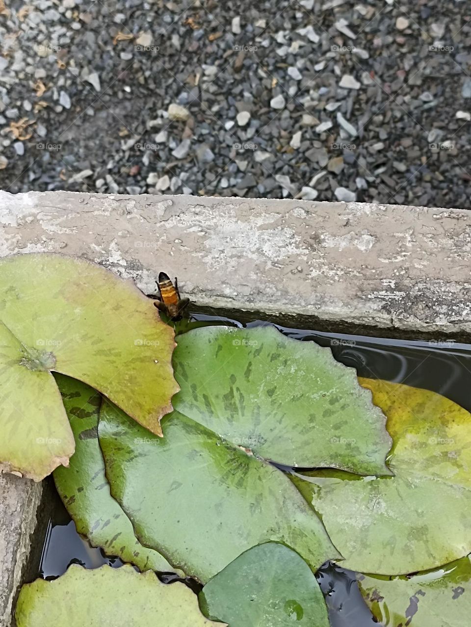 bend a little, suck a little and live life free.