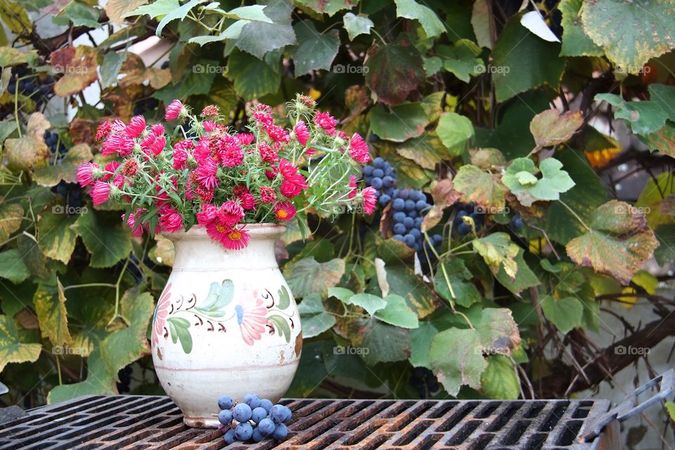 Flowers, grapes and autumn colors