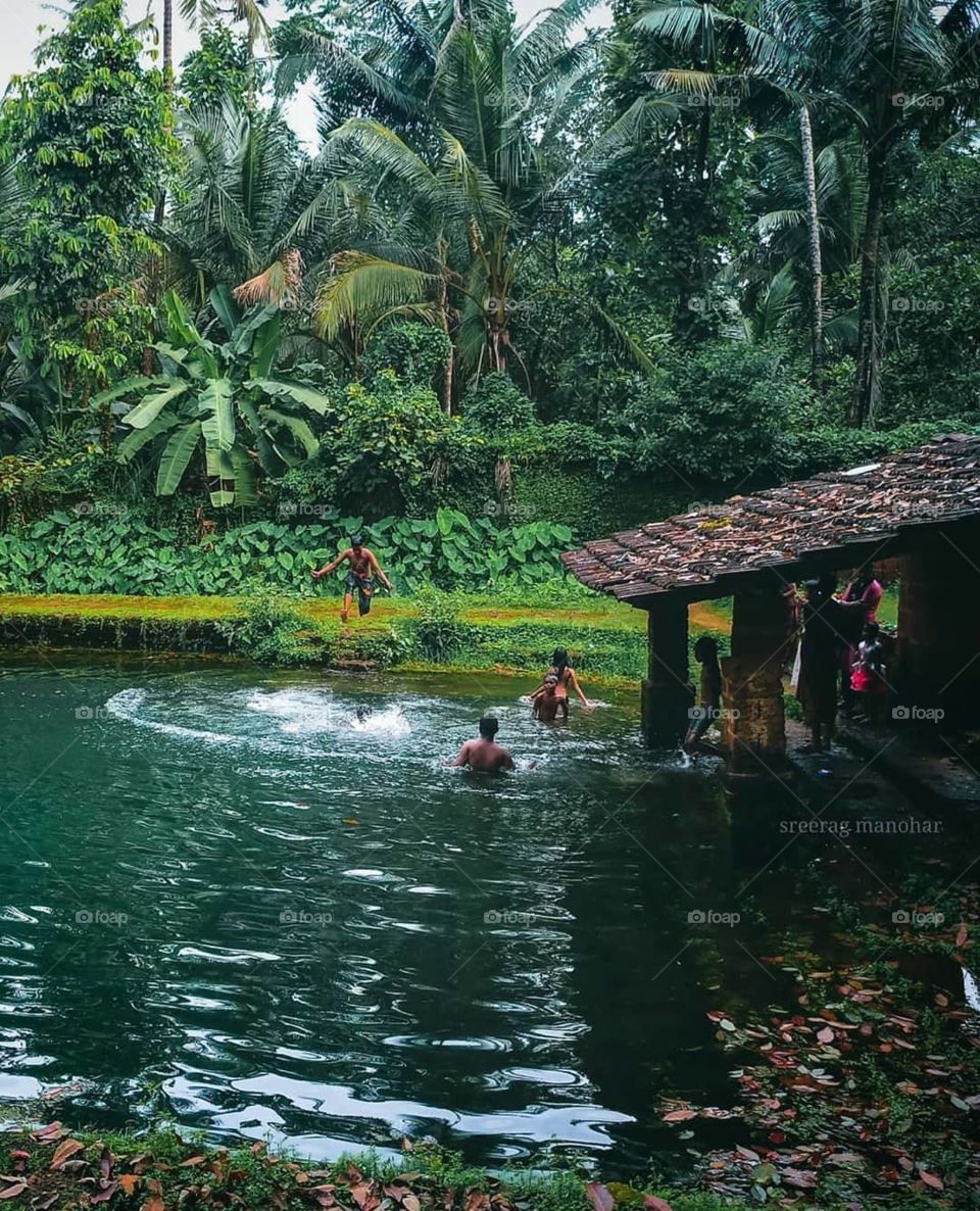 natural swimming pool kerala india