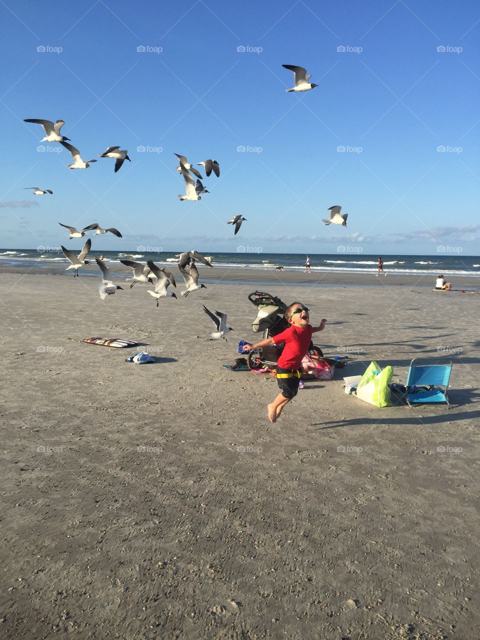 I believe I can fly. Beach with boy and seagulls