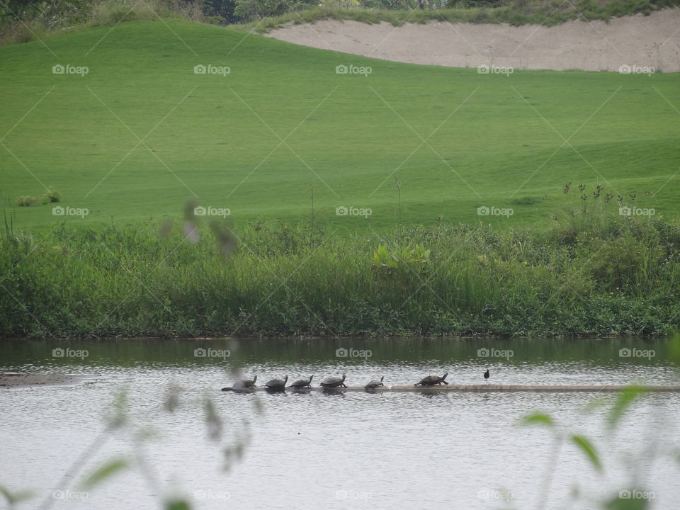 Indura Tela Honduras