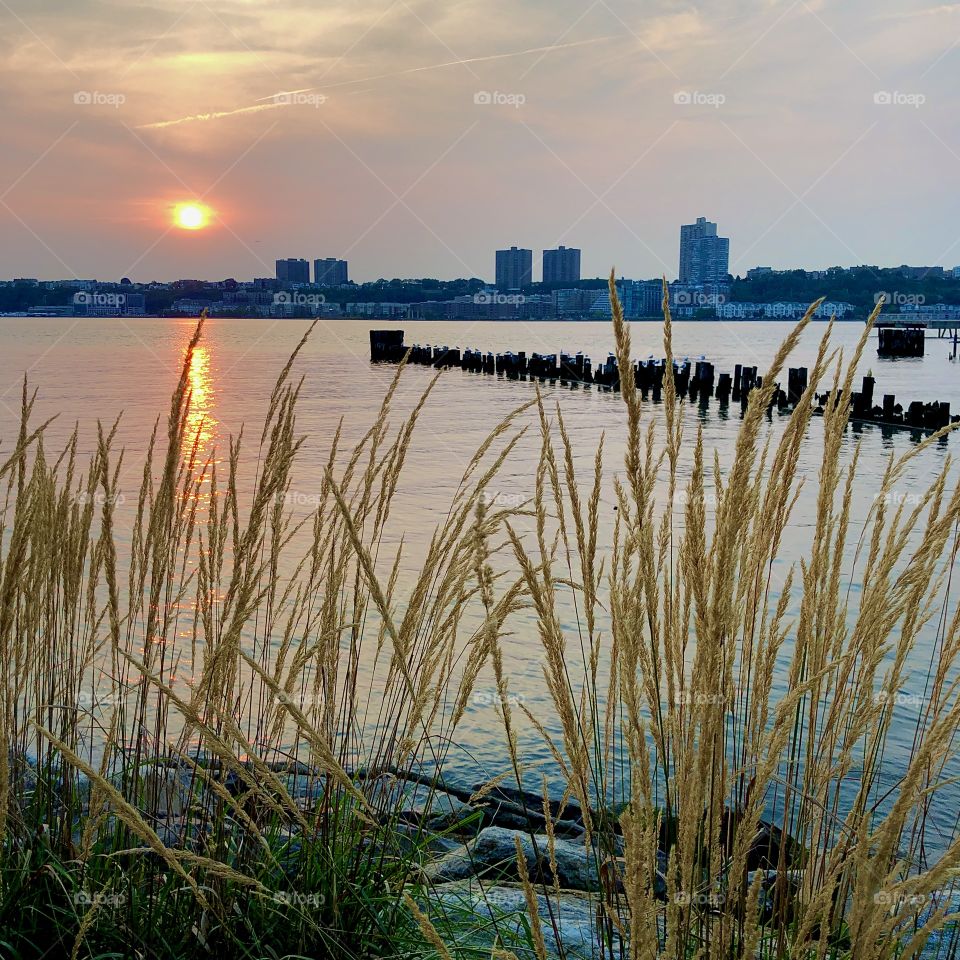Decayed dock over the Hudson