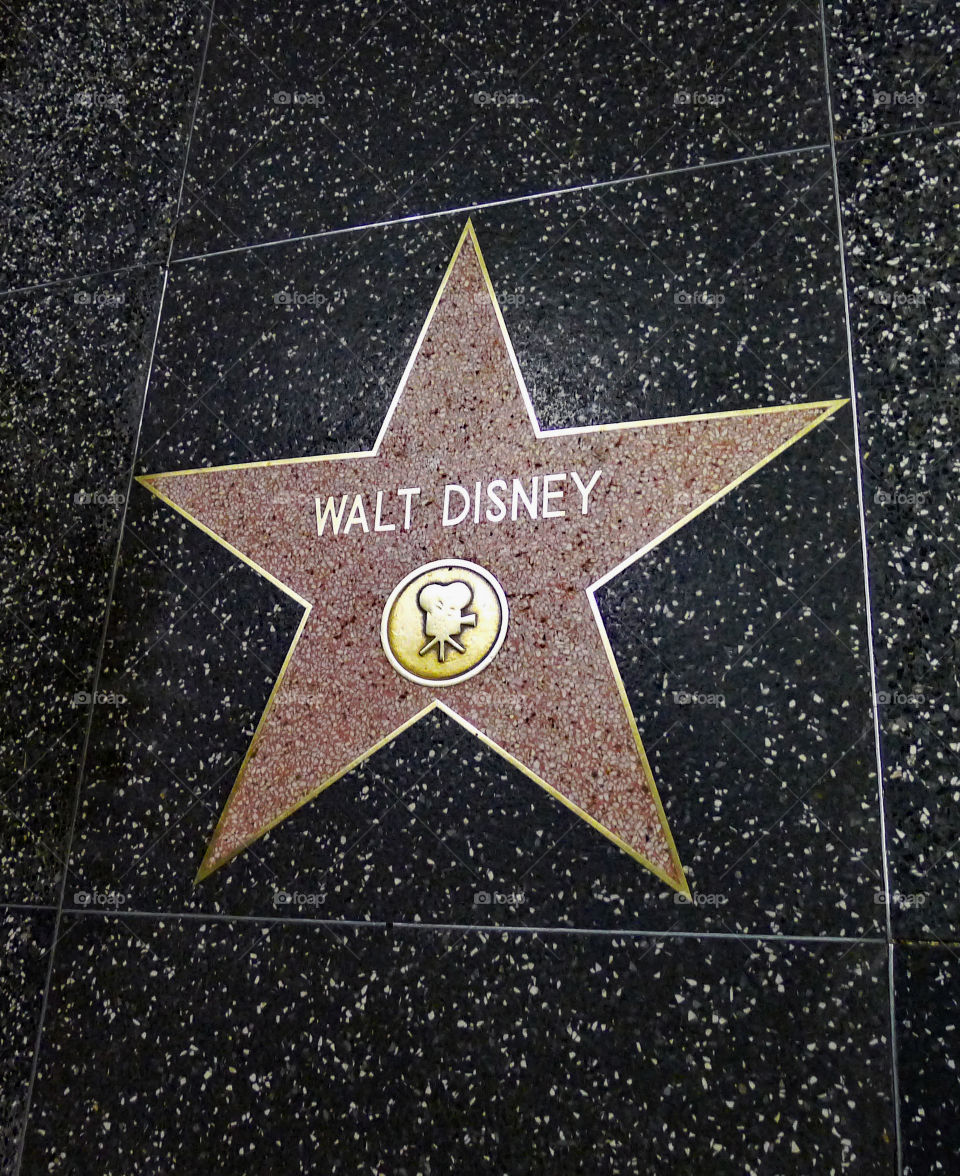 Hollywood California, Walt Disney star