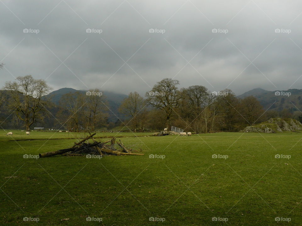 Misty Grey Sky Scene Log Pile On Damp Grass Rainy Skies Trees and Mountain Peaks on Horizon in the clouds cloudy weather farm sheep on bridge lake district