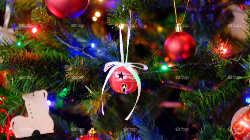 christmas tree, christmas time