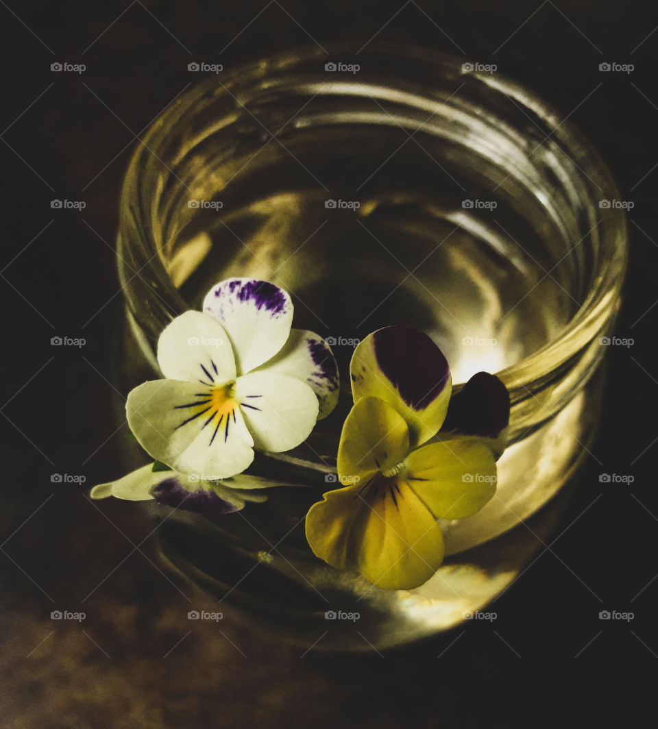 A small vase of mixed Penny white jump ups.