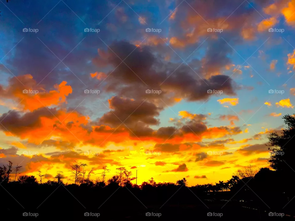 Sunrise
