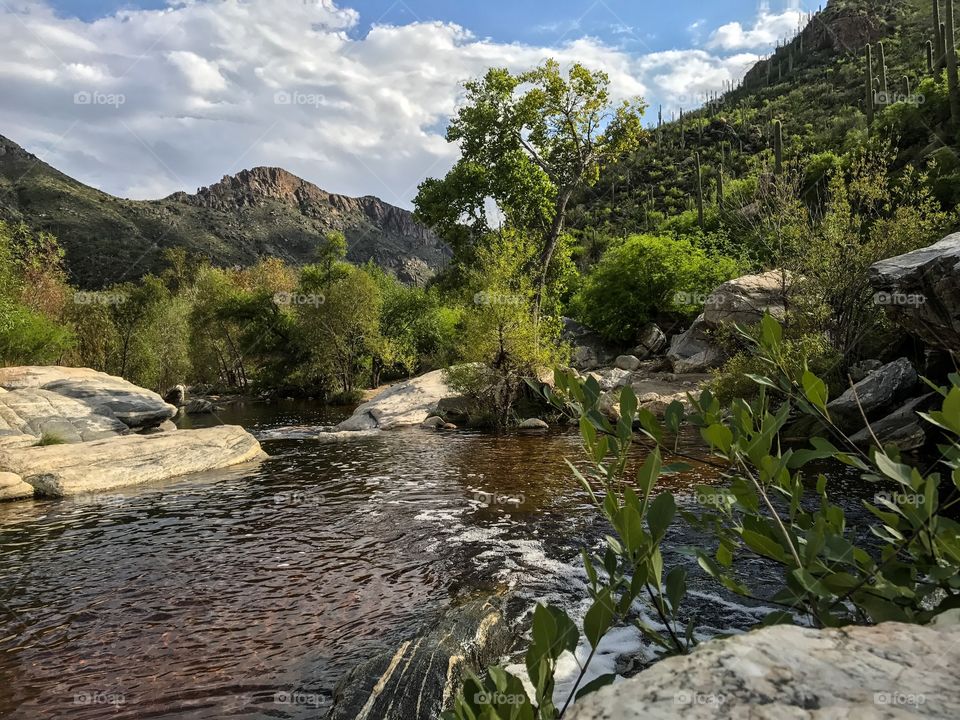 Nature Mountain Landscape - Sabino Canyon in Tucson, Arizona 