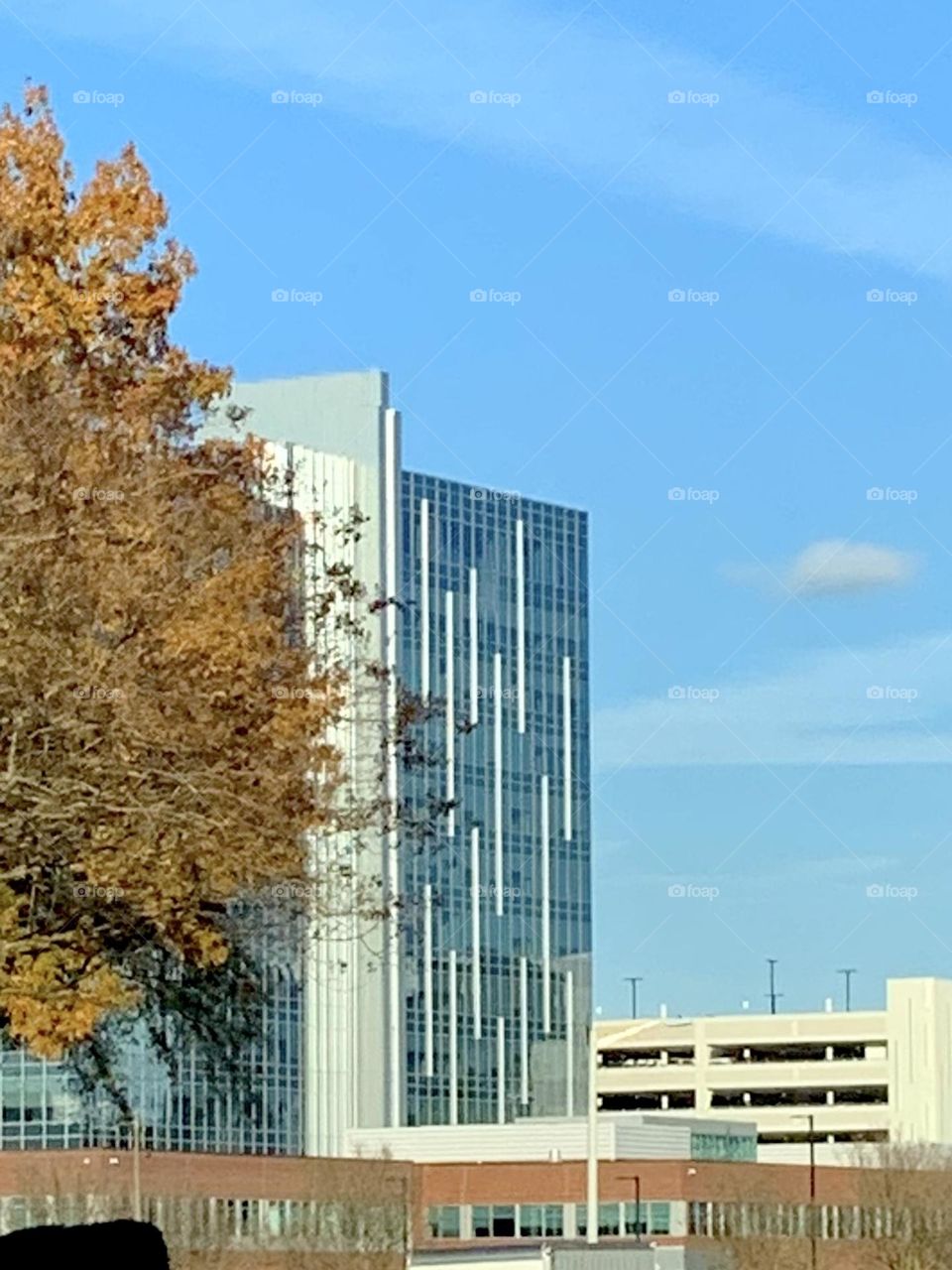 Dollar Tree Headquarters 