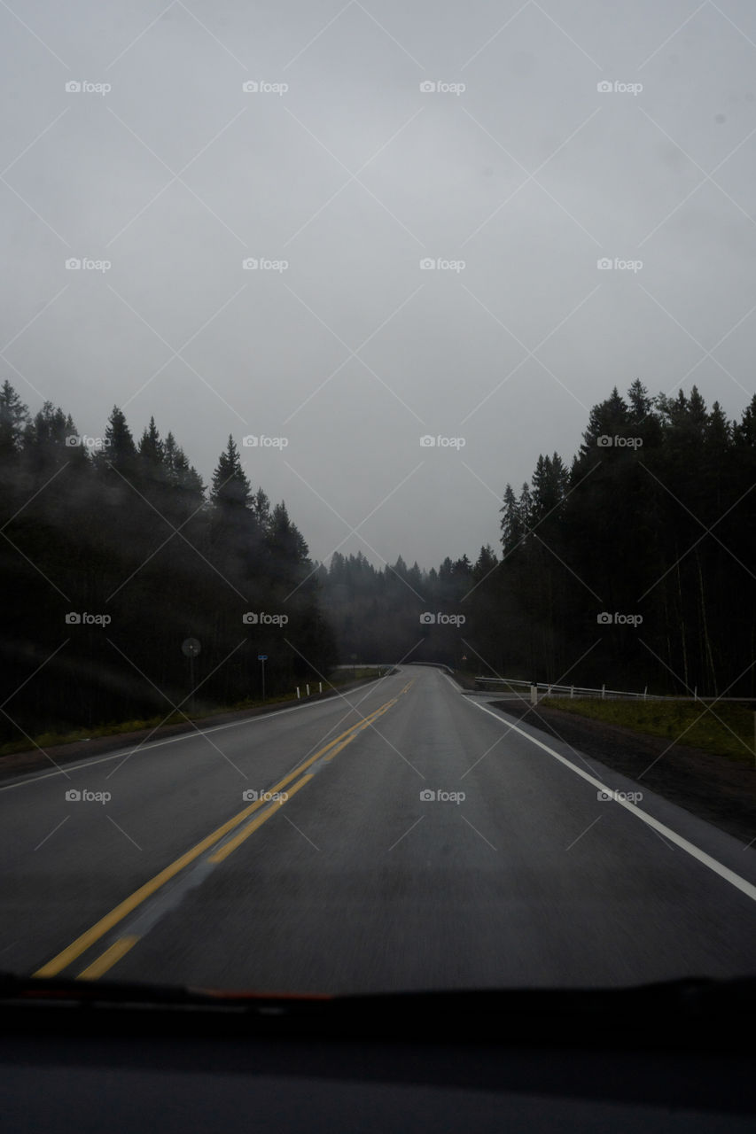 empty road in the woods, car ride, driving a car