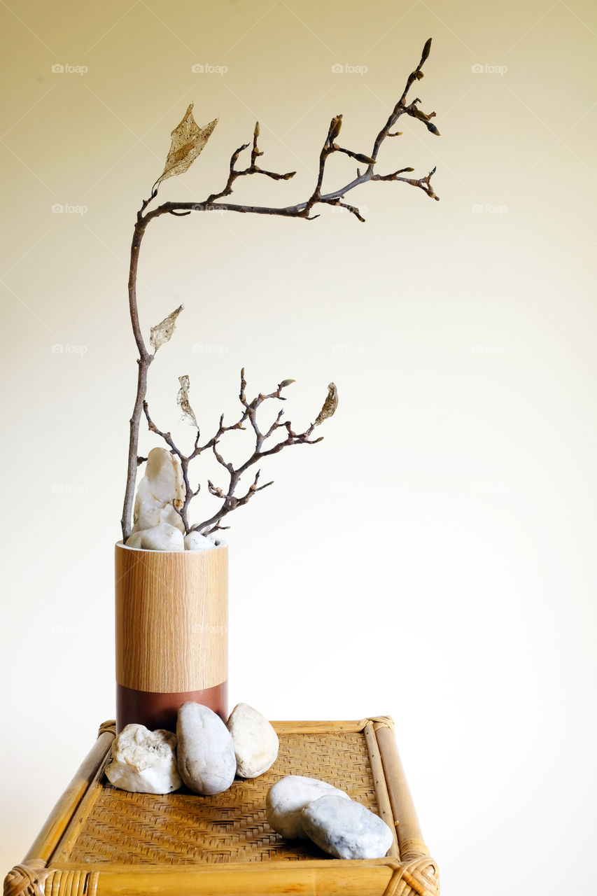 The branch and leaves are still in brittle shape and the posture is leaning on the stone forever