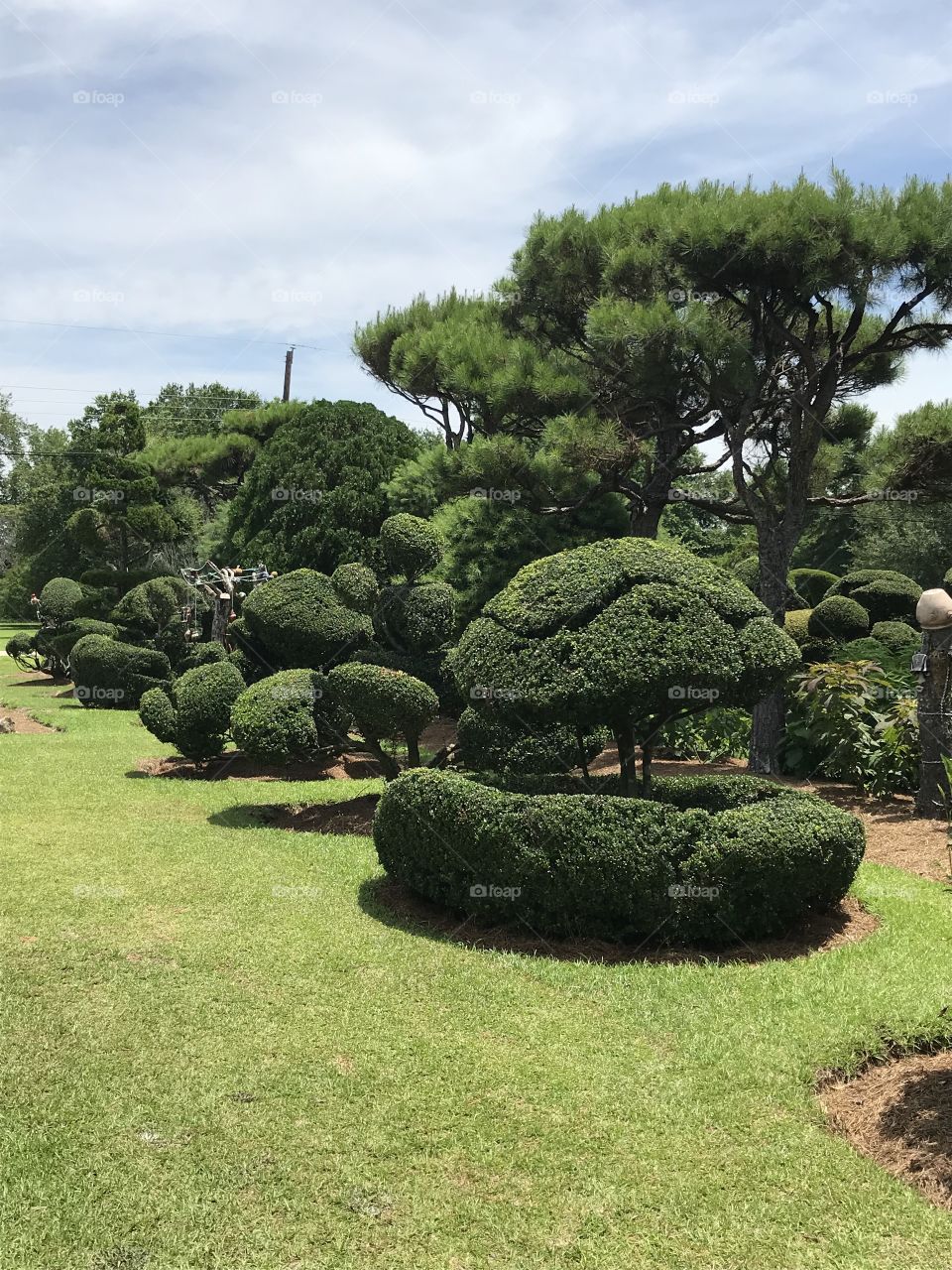 Pearl Fryar’s Topiary Garden 
