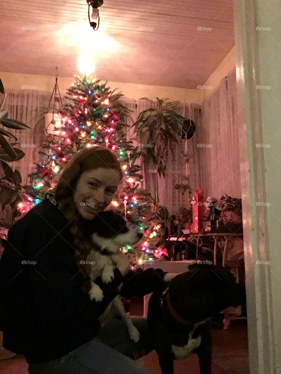 Me infront of Christmas tree with my two(2) dogs