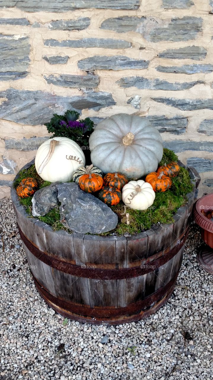 Wedding pumpkins
