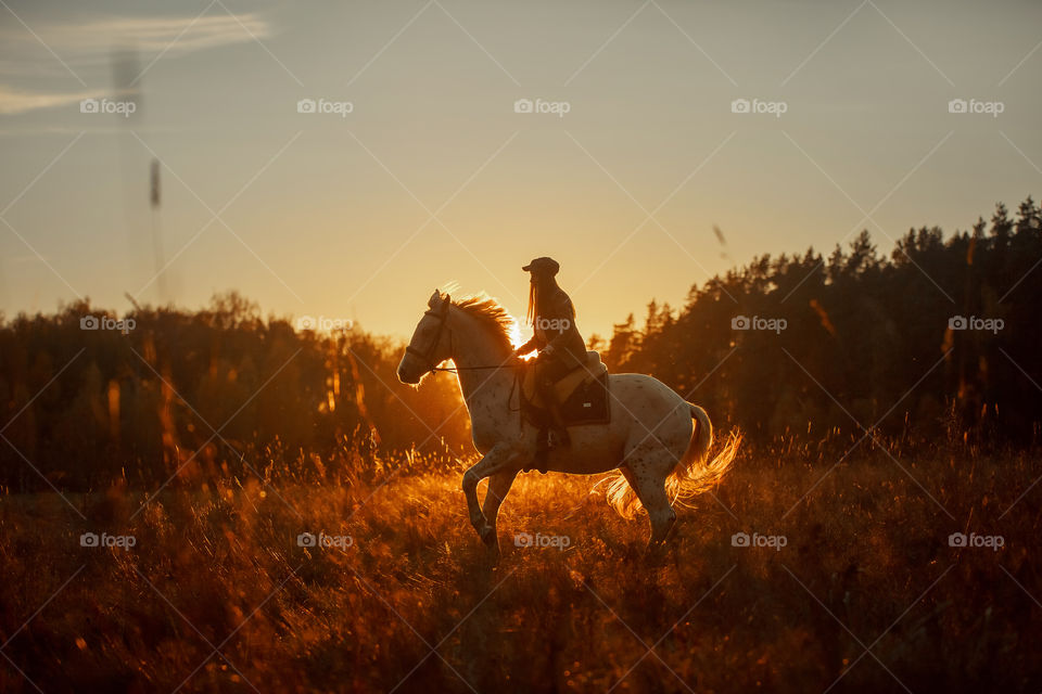 Evening walking horseback riding 