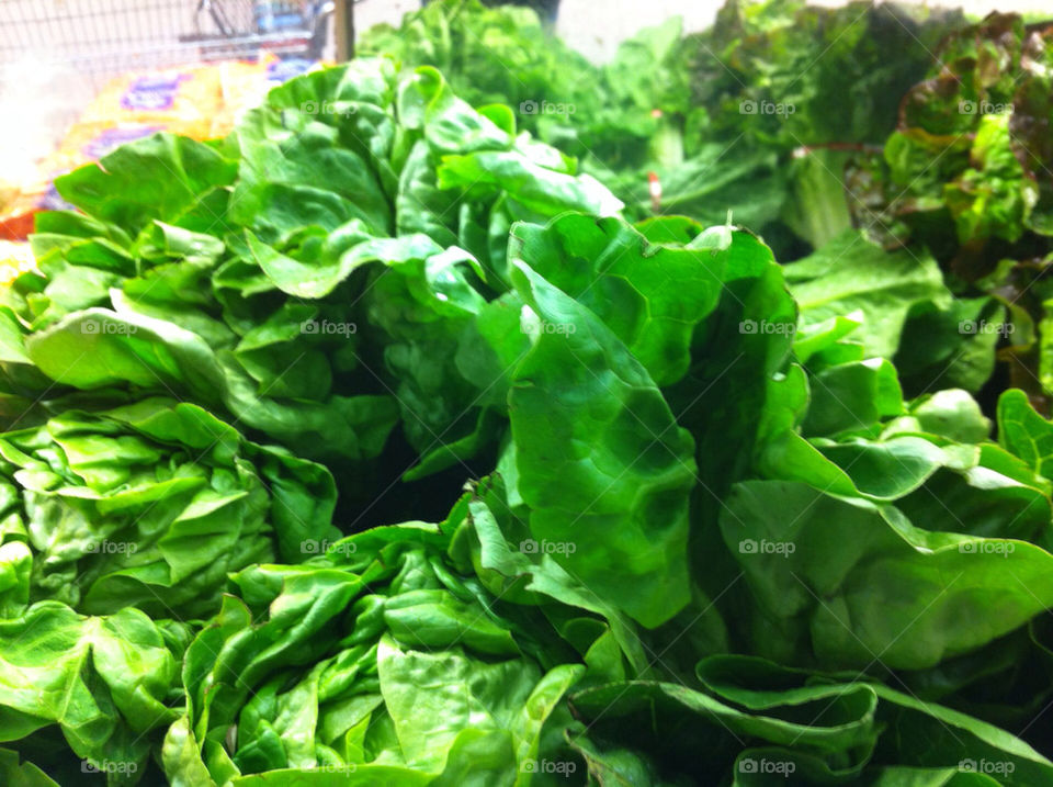 green fresh leaf salad by stephen