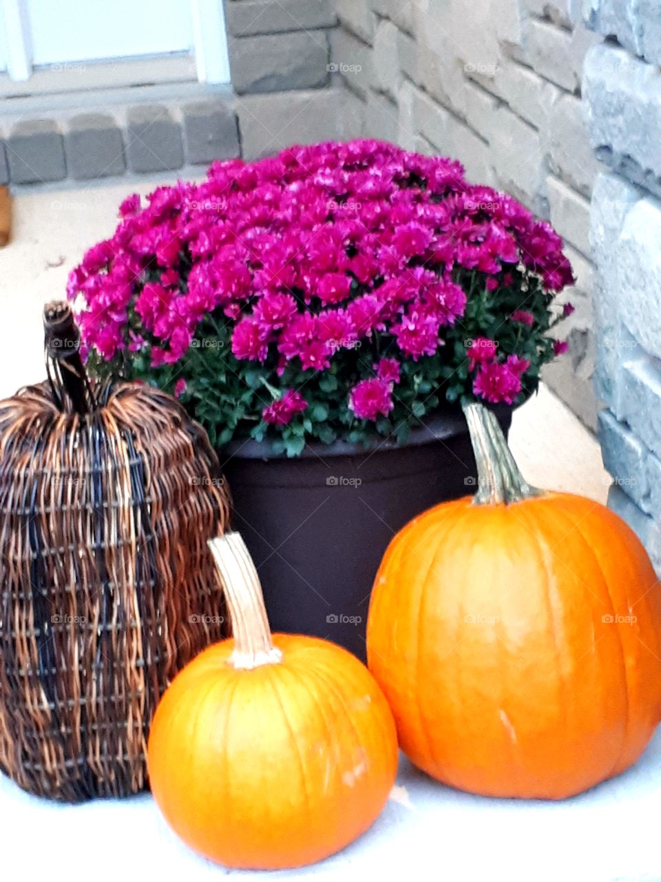 October decorations with flowers and pumpkins