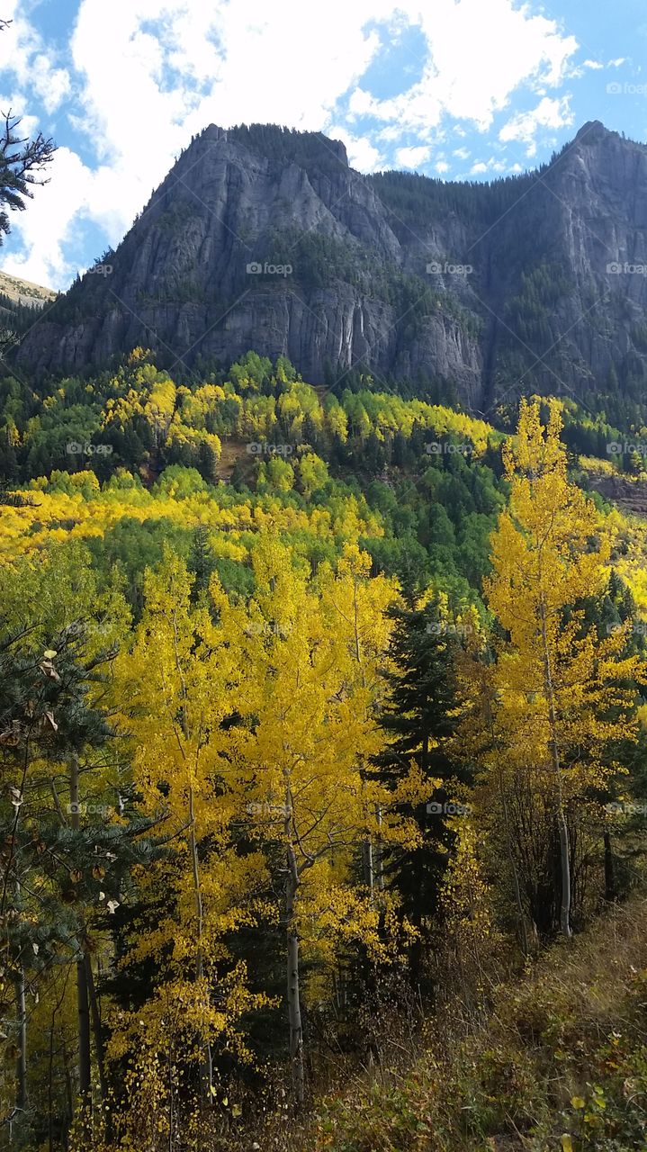 Wood, Mountain, Landscape, No Person, Fall