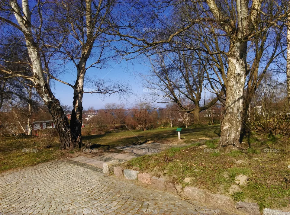 Park