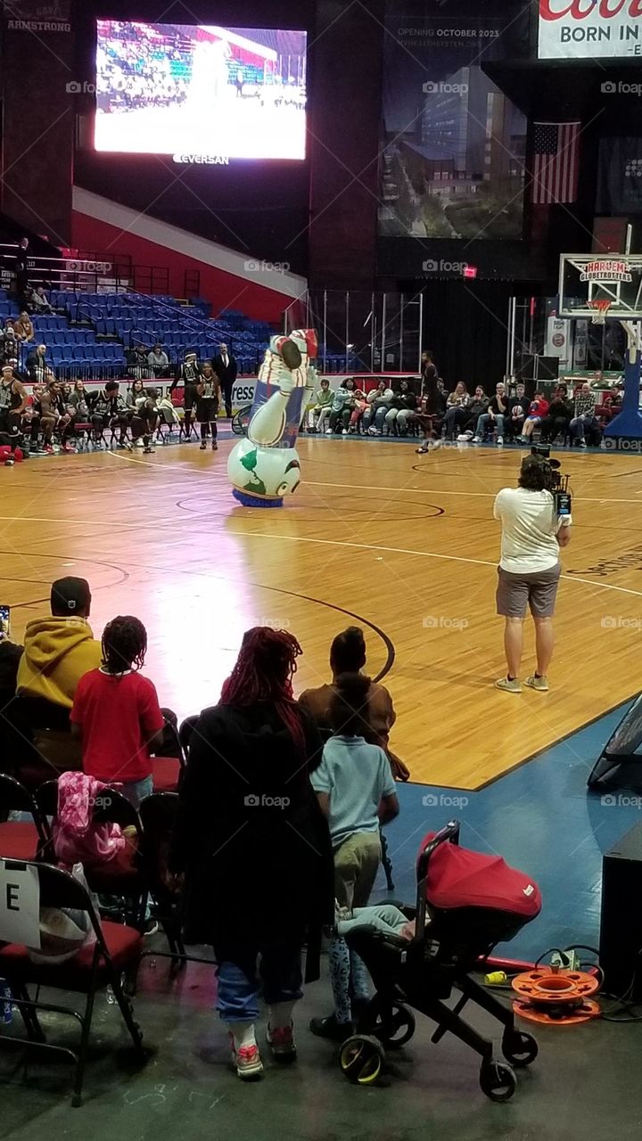 Mascot Standing On It's Head