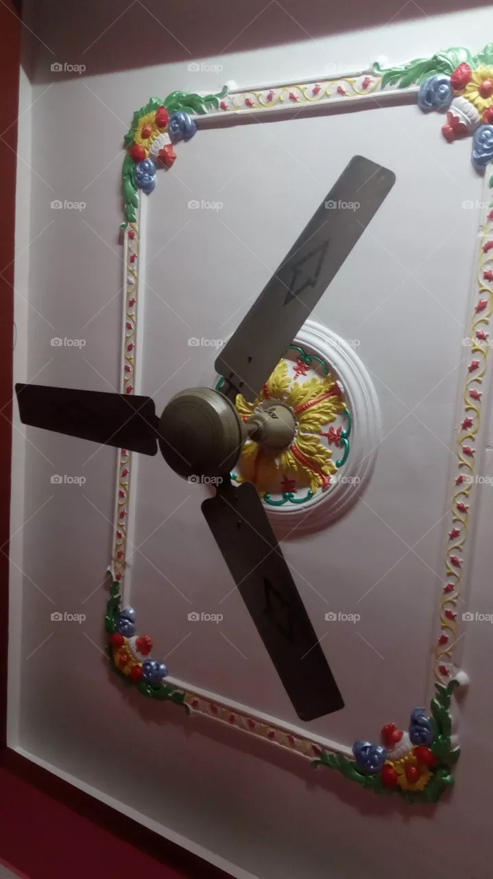 fan