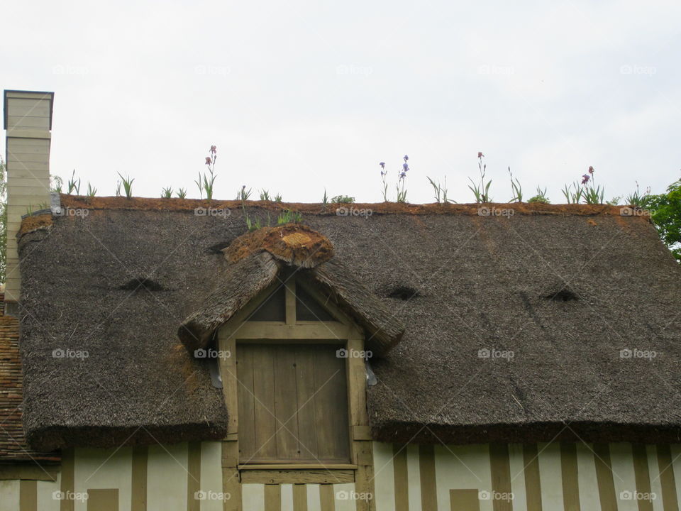 Roof flowers