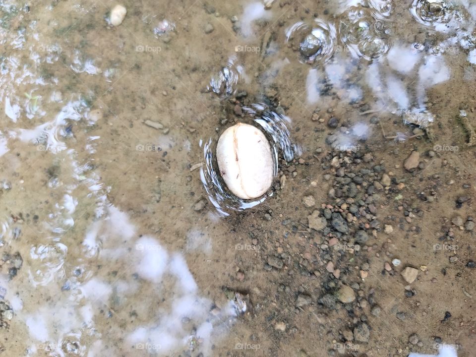 Seed Floating in Rainwater
Combination of Nature
Water💦💦💦
Rare Phenomenon