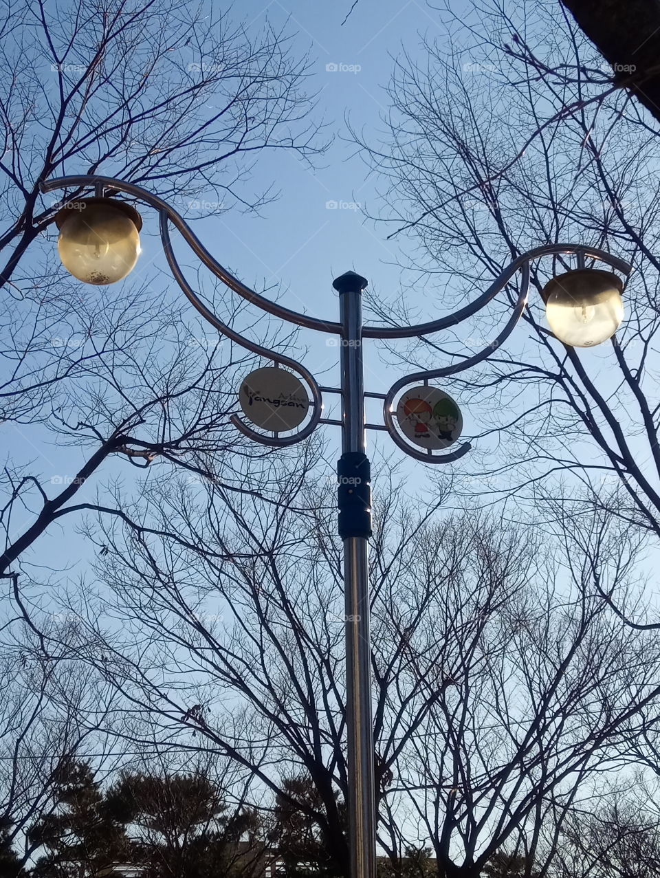The smiling street lamp among the tree branches. if you look at its smile closely u can imagine the smile of JOKER on the TV.