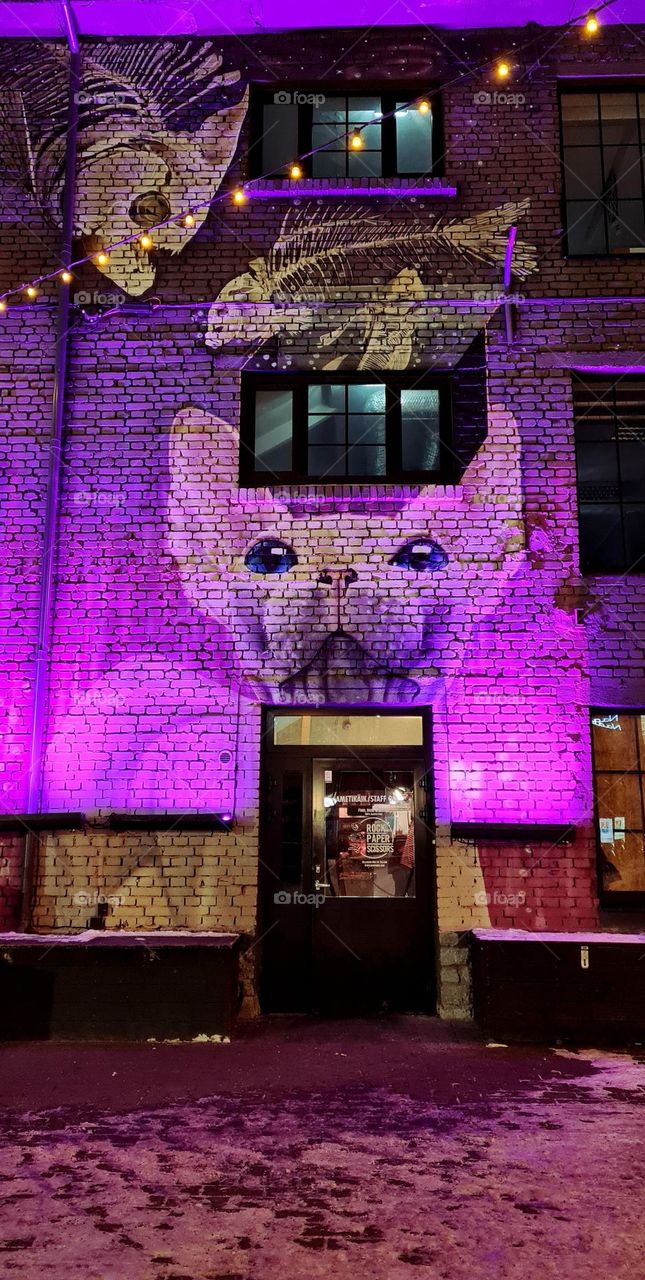 Street art, purple cat