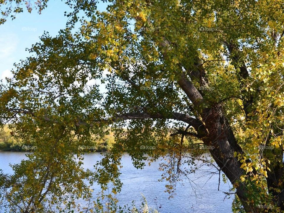 Красоты Кузбасса