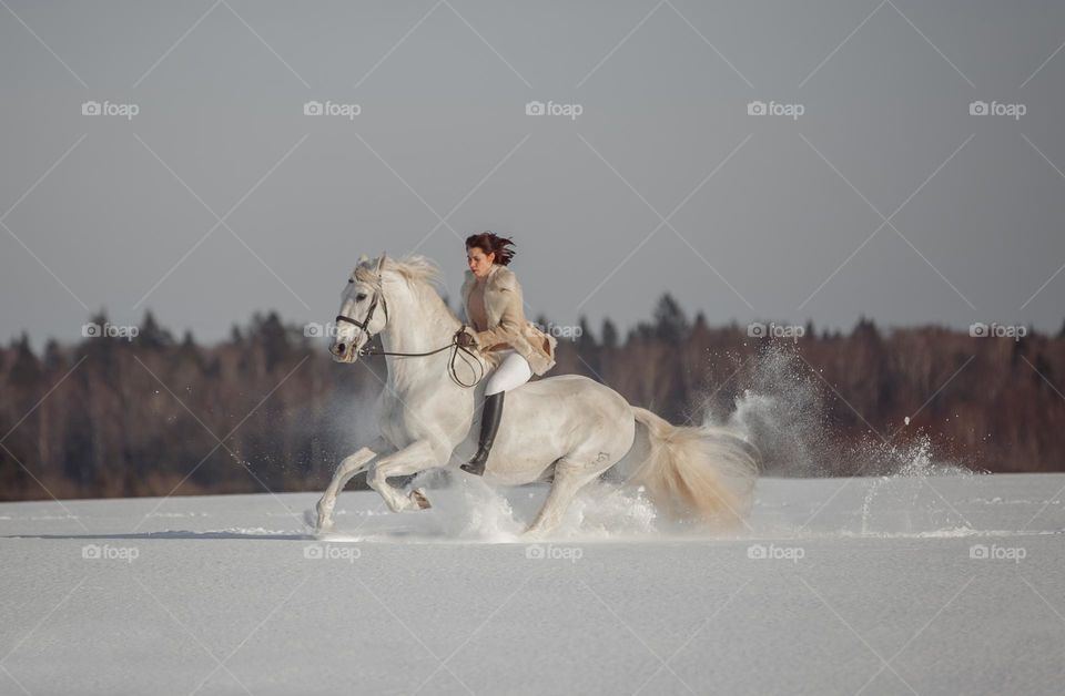 Fly like a bird. Winter free horseback riding