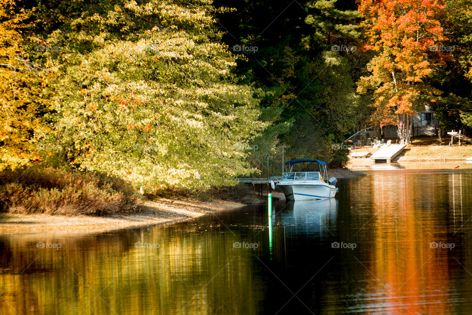 Fall color on lake Portland Maine 