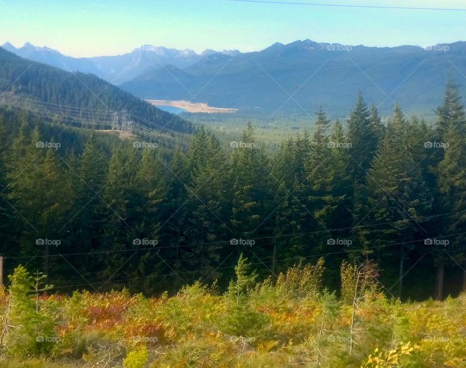 A scenic view of an autumn colored field surrounded by tall fir trees with power lines, foothills, a small lake, and a silhouette of lightly snow capped mountains in the background.