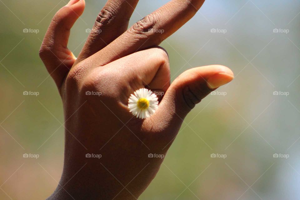 flower hand
