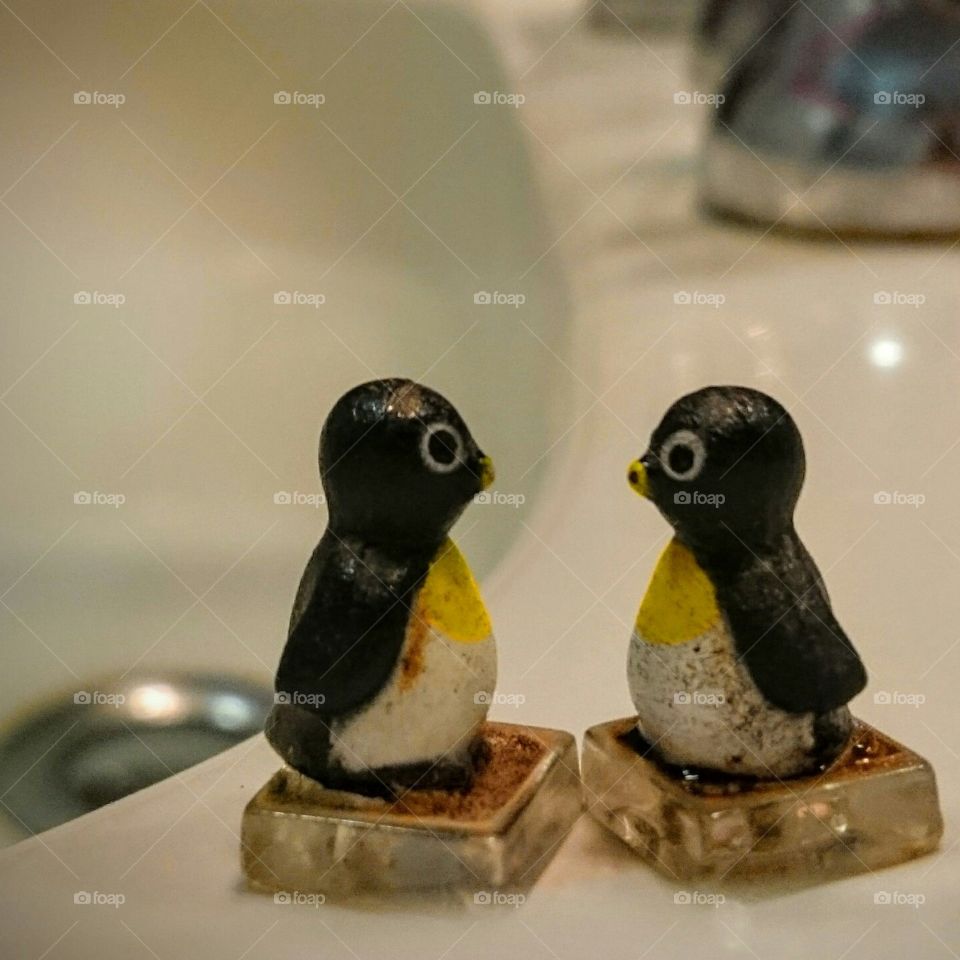penguin in bath