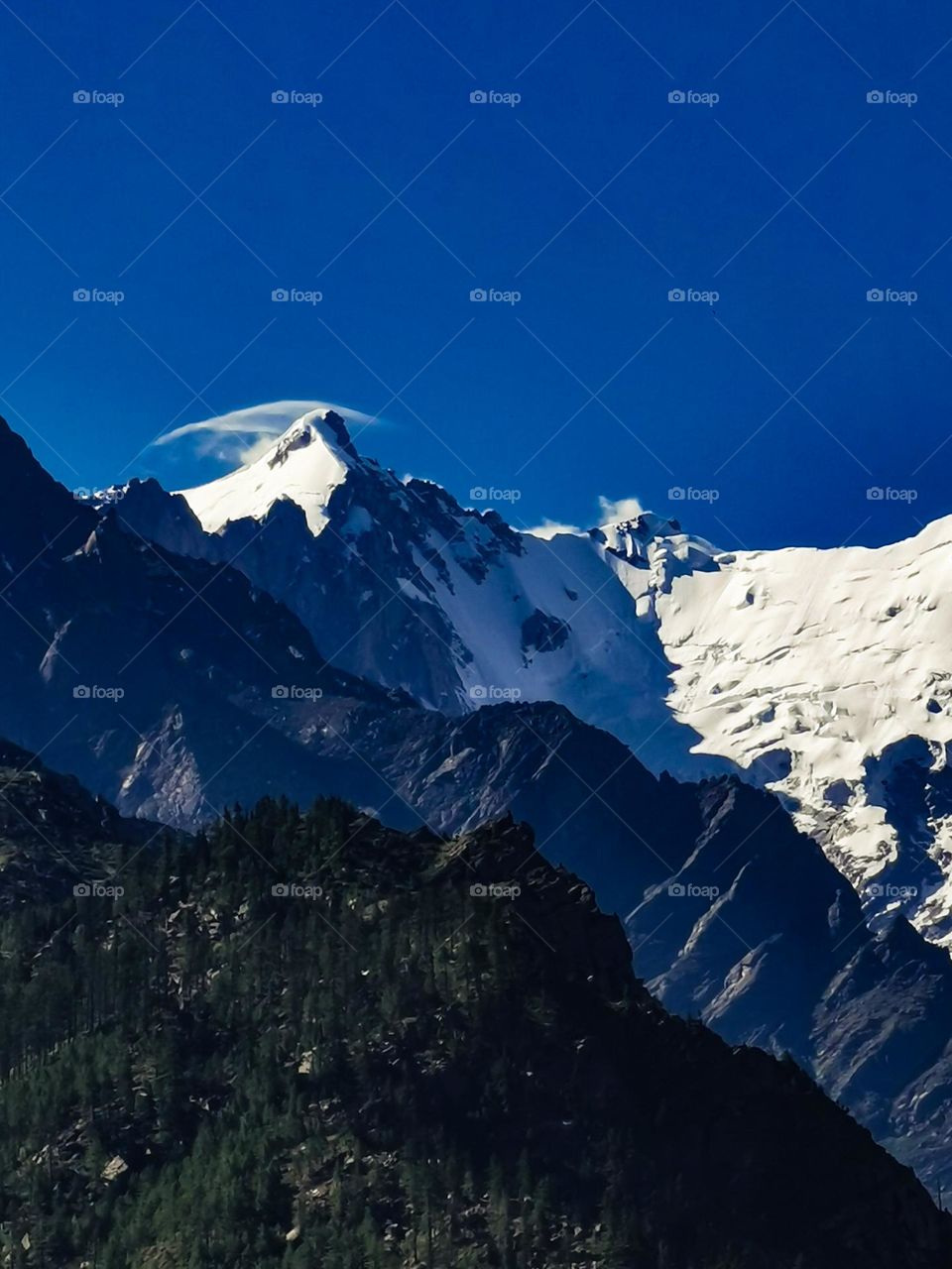 Hidden himalayan beauty