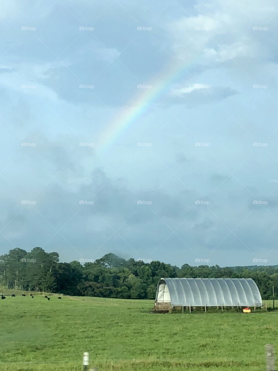 After the storm, a rainbow brush moves the sky palette to a different background.