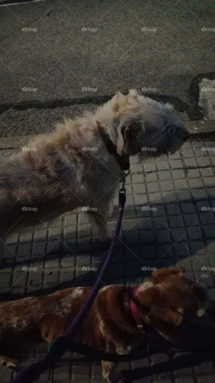 Empezando la exploración