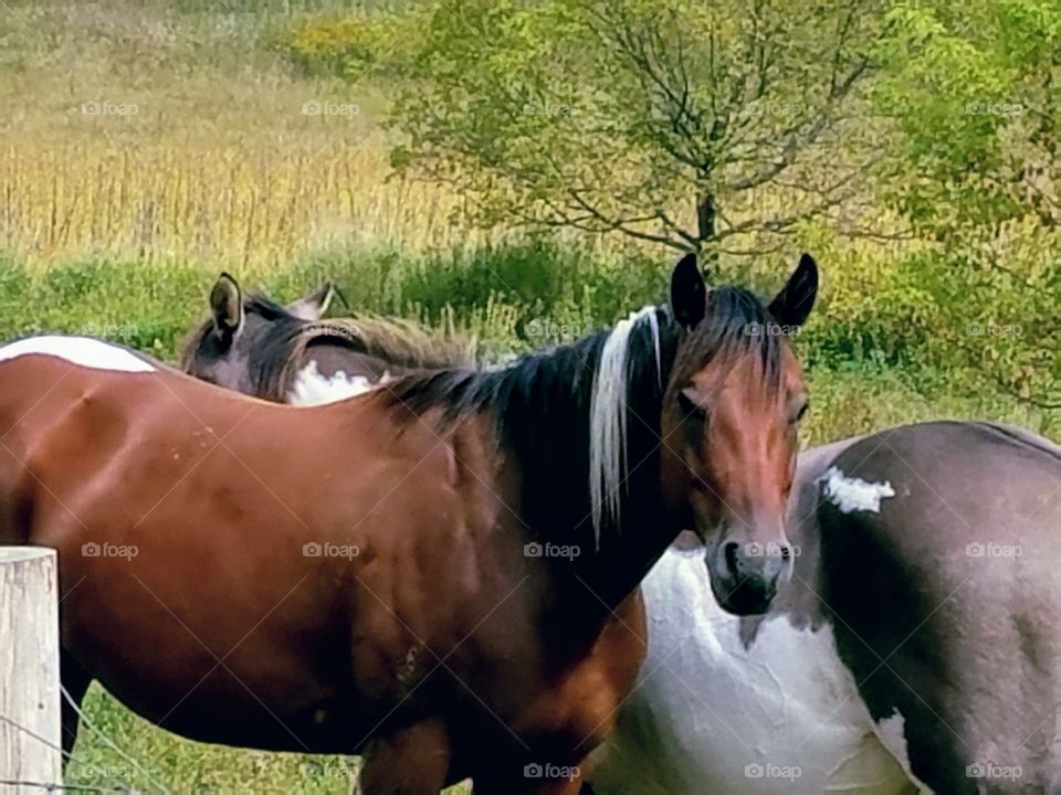 Driving the Back Roads and enjoying everything around us