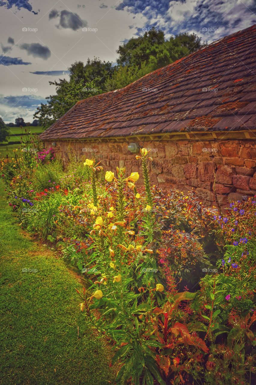 Flowers. Garden