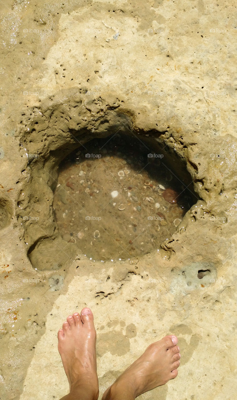 Shells on the cliffs