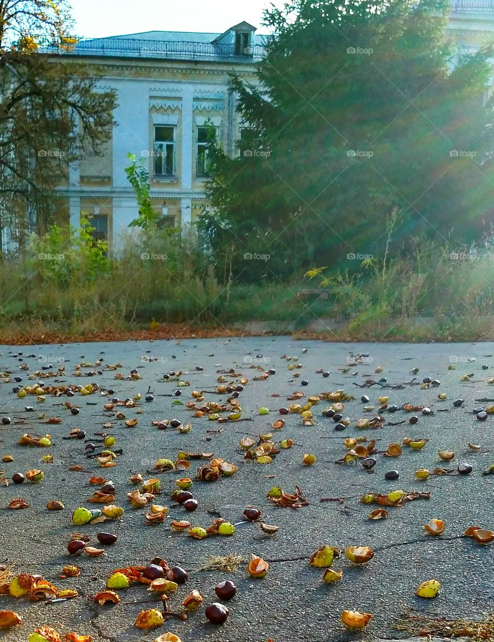 morming.sunrise. autumn.Ukraine.