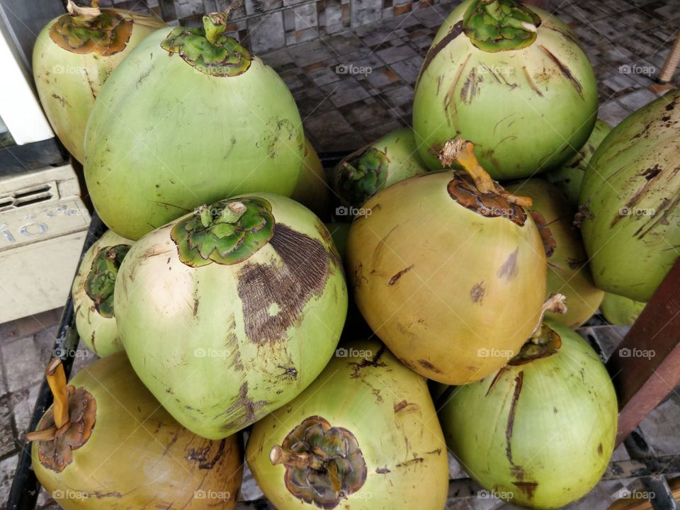 "Dreams are made of sun, sand, and coconuts."Who knew you could hold a piece of paradise in your hands?The two basic items necessary to sustain life are sunshine and coconut milk