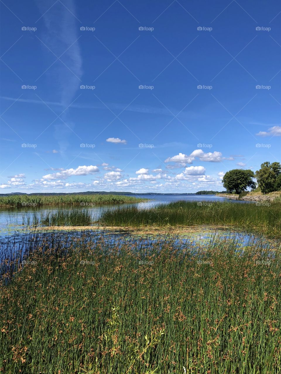 Waterscape Sweden 