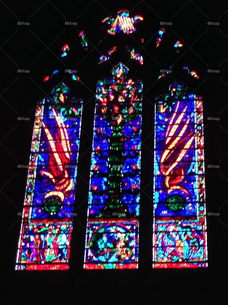 National Cathedral 3