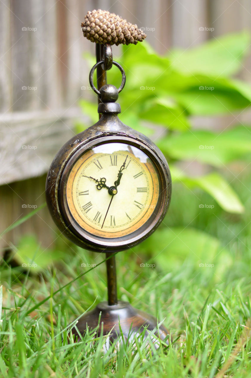 clock outside on the grass