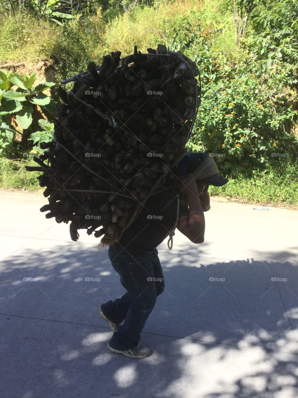 Man carrying wood on his head 