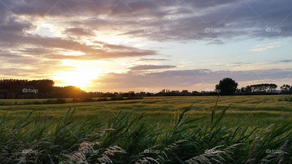 illuminating sunrays