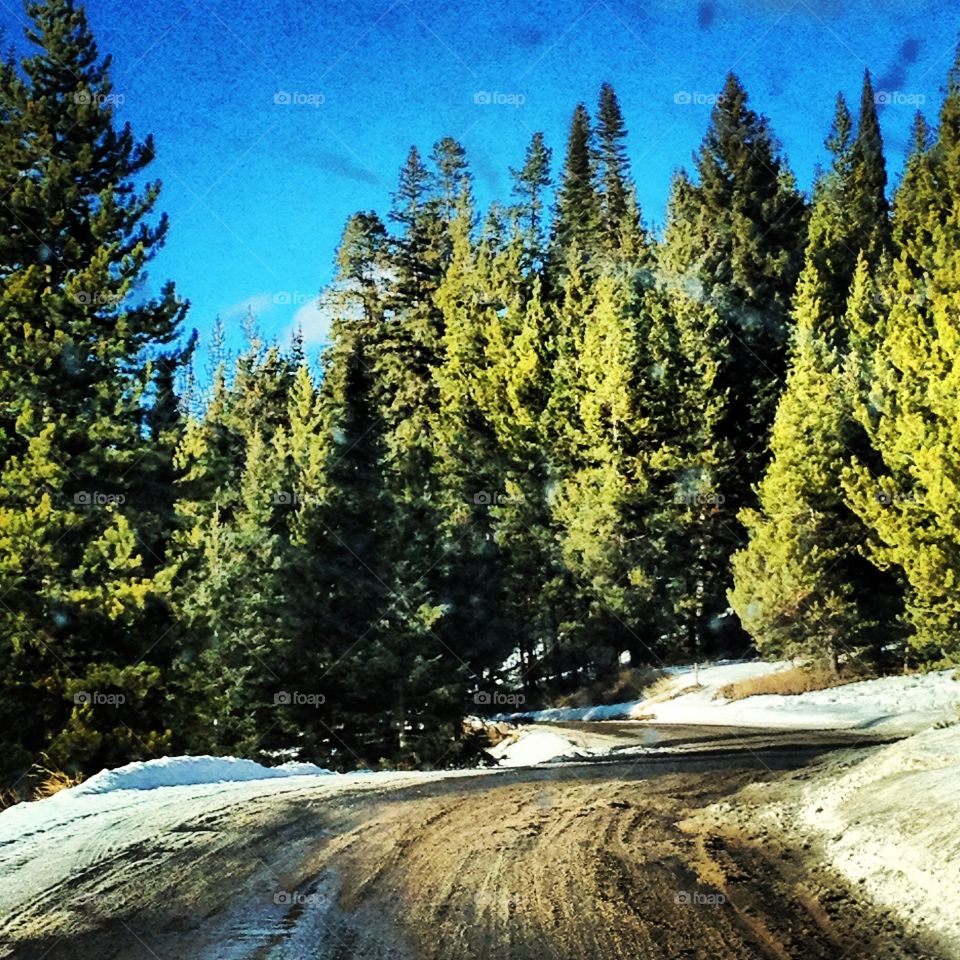 Muddy Snow Road