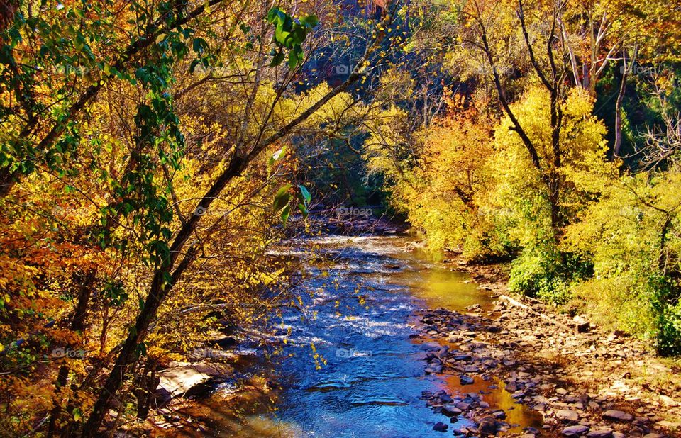 Creek with Fall colors